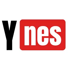 Team Ynes logo