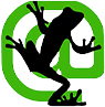 a frog on a black background